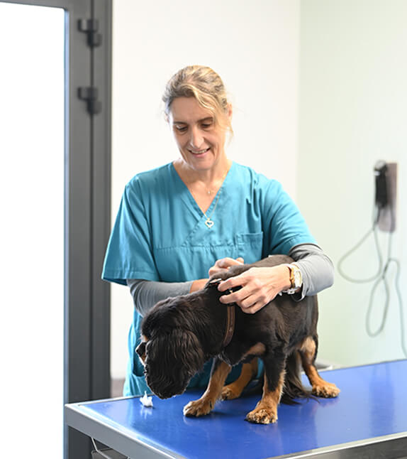 LC-Contact-2 Urgence vétérinaire