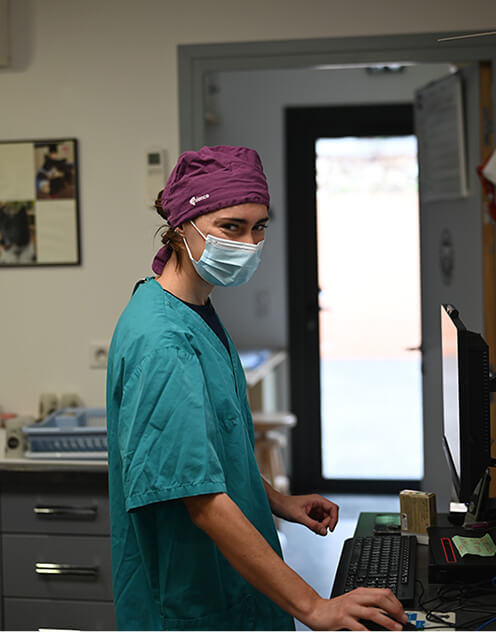 LC-Header-3 Vétérinaire